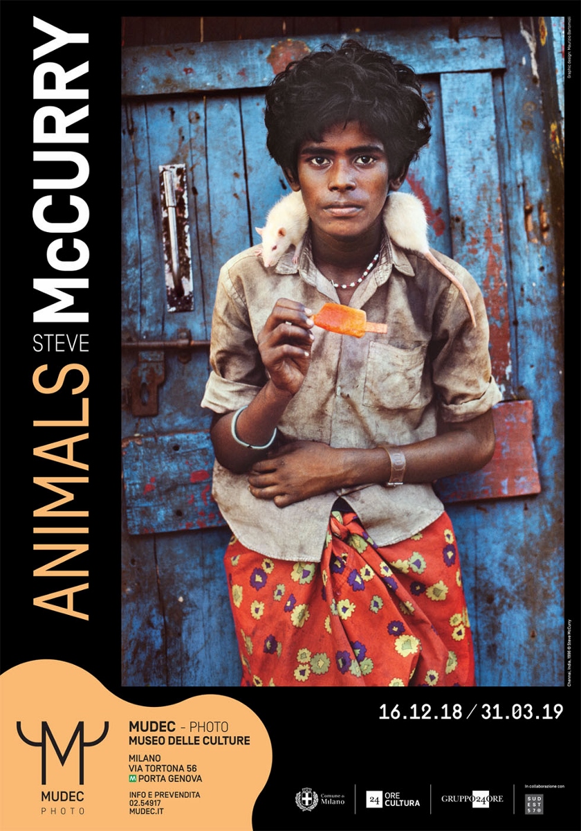 Steve McCurry – Animals